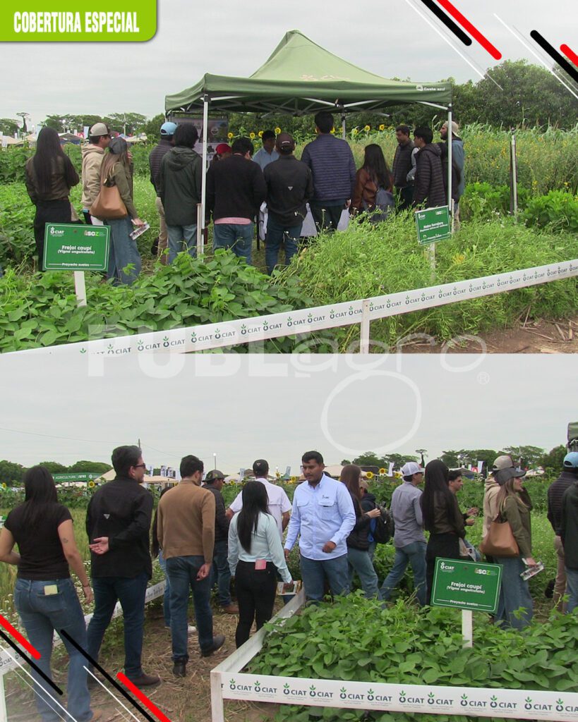 El-CIAT-promueve-la-sostenibilidad-del-suelo2