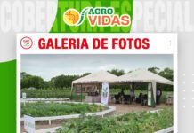📷Galería de fotos | El Vallecito con su propuesta de huertos en casa