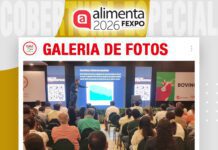 📷Galería de fotos | Exportación de carne, el animal ideal