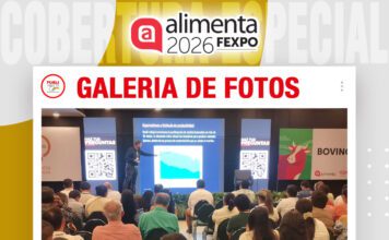 📷Galería de fotos | Exportación de carne, el animal ideal