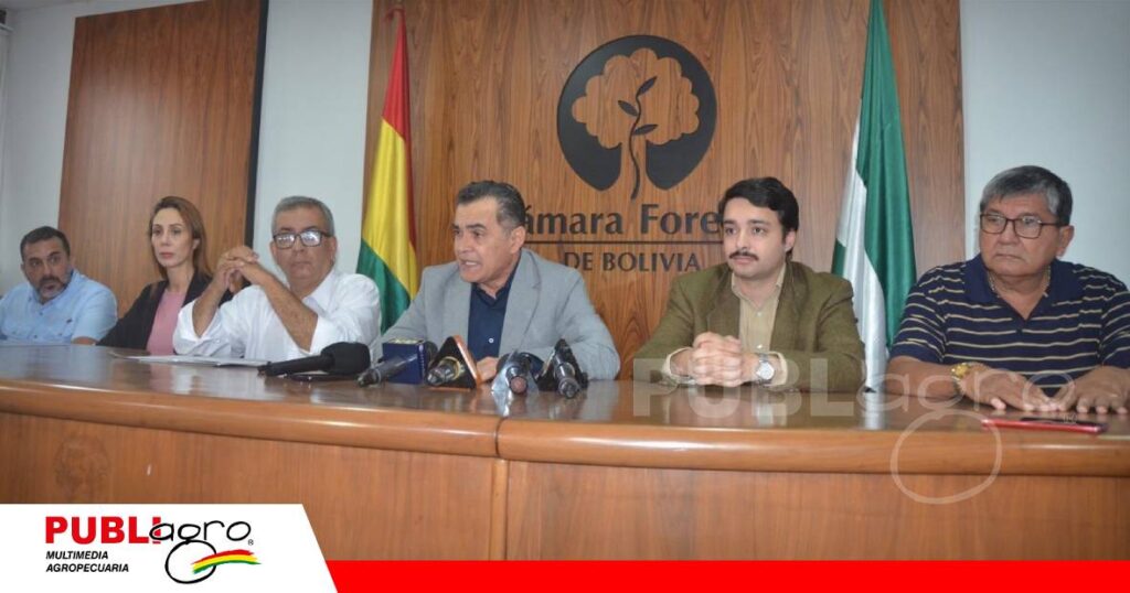 La madera boliviana pierde US$ 11,19 millones en exportaciones/ Foto: CFB