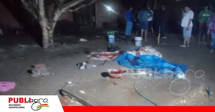 Encontraron más de 1.000 kilos de carne en un domicilio/ Foto: Unitel