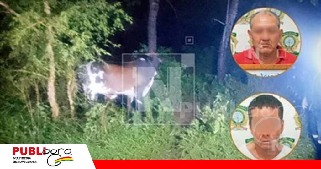 Captura dos presuntos responsables/ Foto: Red Uno
