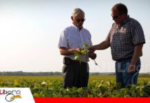Liderazgo y conocimiento, las nuevas herramientas del productor agropecuario El productor agropecuario necesita salir de su zona de confort/ Foto: Internet