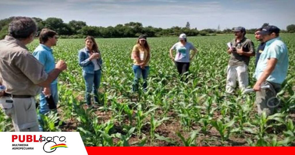 FOTO NOTAS WEB - 2026-10-01T081846.851 Despertar al líder agropecuario/ Foto: Internet