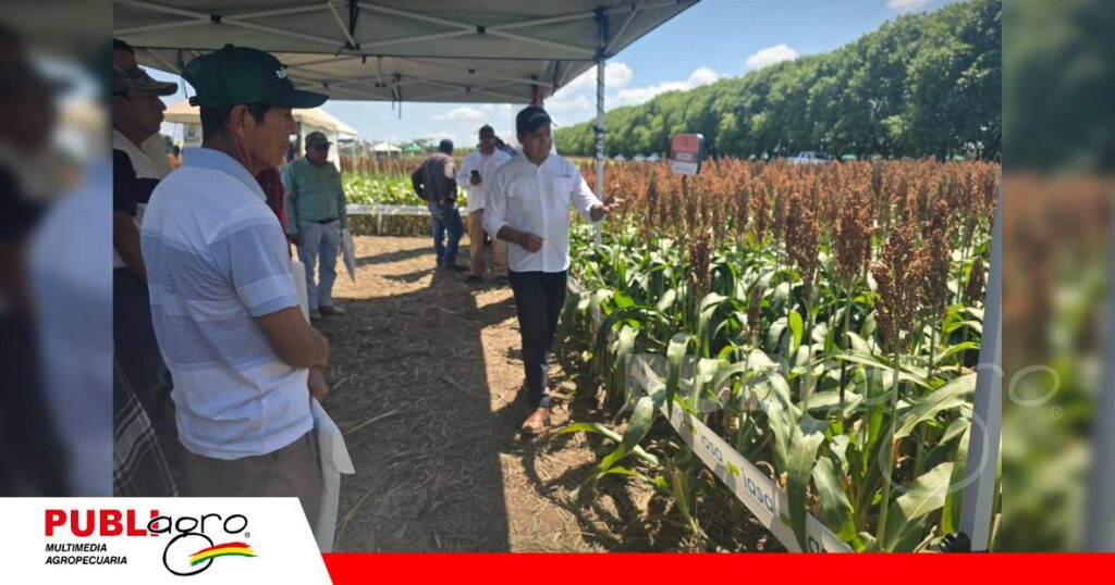 Innovación y nuevas tecnologías en ExpoSoya del Norte / Foto: Publiagro