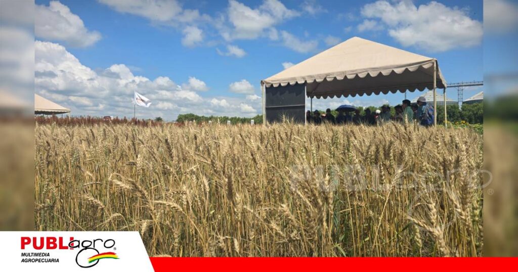 Mejora de productividad en el campo / Foto: Publiagro