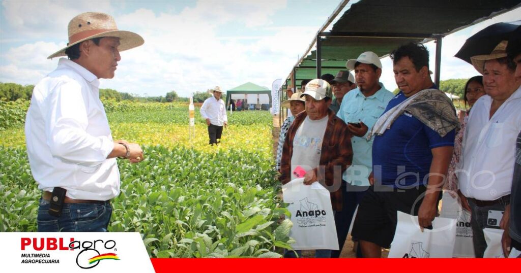 FOTO NOTAS WEB - 2026-10-03T081354.934 Ya hay interés de los agricultores por la nueva soya Garza/ Foto: Publiagro