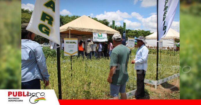 Fundacruz presenta variedades de soya/ Foto: Publiagro