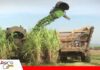 Lluvias mantienen paralizada la zafra y elevan los costos de producción La zafra cañera se retrasa/ Foto: Internet