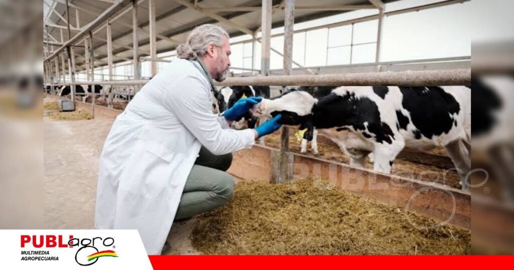 FOTO NOTAS WEB - 2026-10-05T111426.187 Profesionales y tecnología, pilares para avanzar en sanidad animal/ Foto: Internet