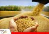 ANAPO pide una liberación plena de las exportaciones agrícolas para dar certidumbre al productor ANAPO reclama una norma que garantice la libre exportación/ Foto: Internet
