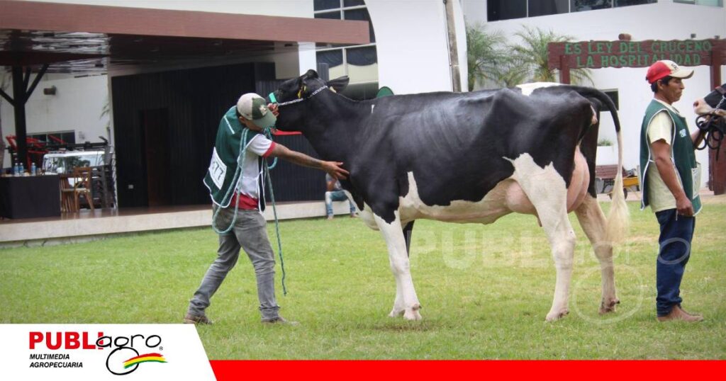 Los animales de pelo corto pueden contribuir a enfrentar el estrés calórico/ Foto: Publiagro