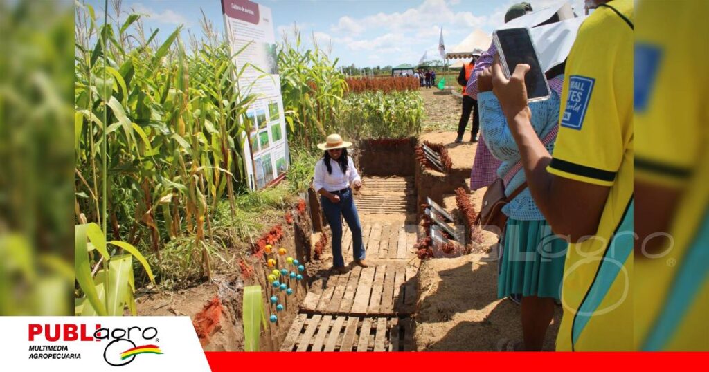 El diagnóstico de cada parcela permite seleccionar especies/ Foto: Publiagro