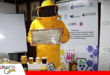 Monteagudo será sede del primer Simposio Internacional de Innovación Apícola El Chaco chuquisaqueño mostrará su potencial apícola/ Foto: CAO