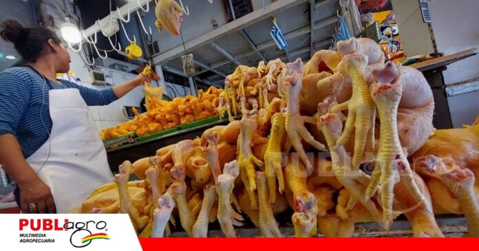 FOTO NOTAS WEB - 2026-10-07T181103.834 Avicultores piden equilibrio en el precio del pollo/Foto: Internet