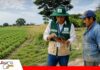 CAO respalda censo agropecuario y pide usar los datos para reactivar el sector La CAO respalda el Censo Agropecuario/ Foto: Internet