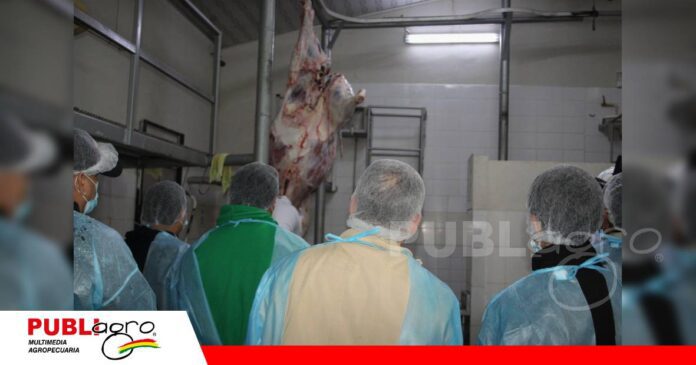 Carne de búfalo destaca por su aporte de hierro, bajo contenido graso/ Foto: Publiagro