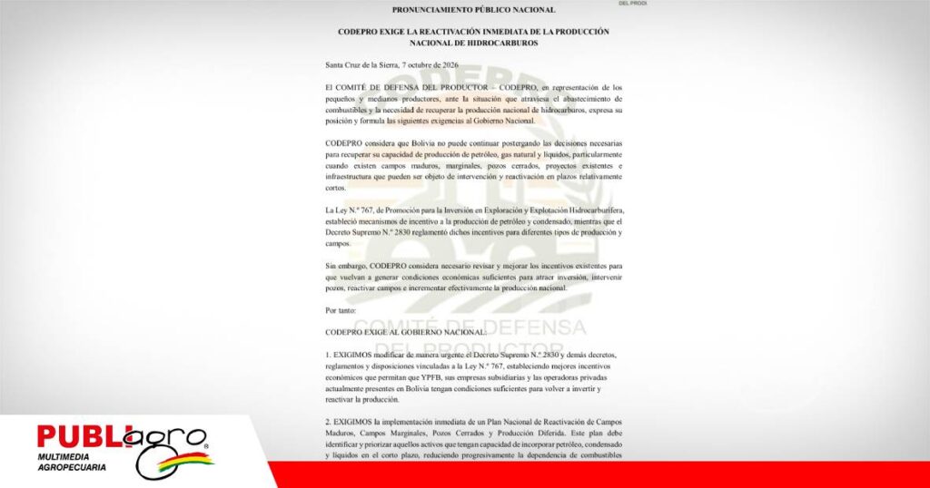 FOTO NOTAS WEB - 2026-10-08T230419.089 Pronunciamiento de Codepro/ Foto: Codepro