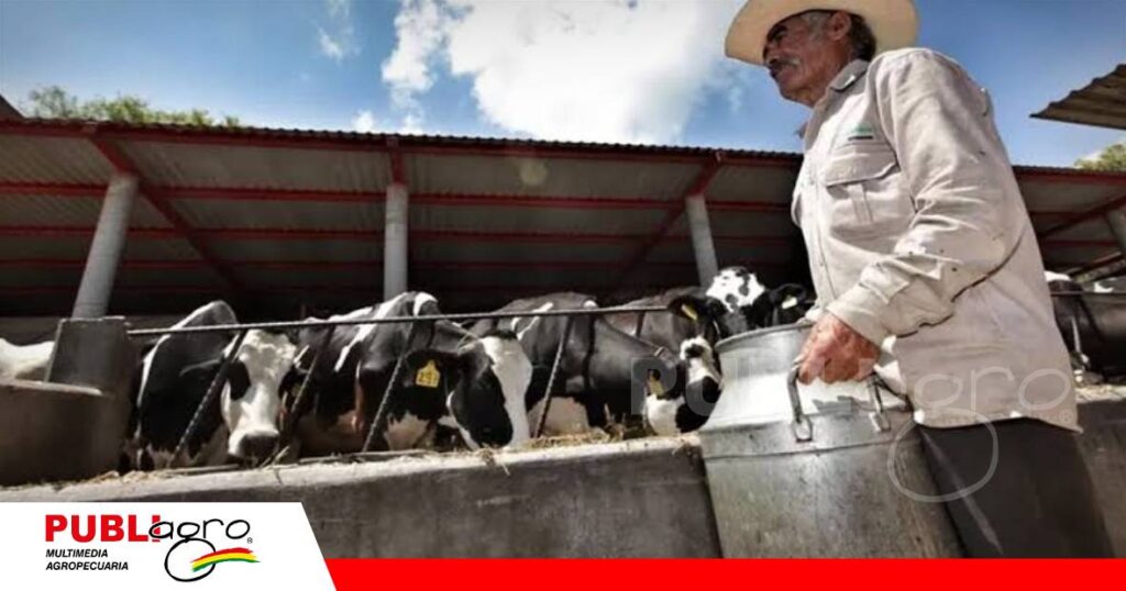 FOTO NOTAS WEB - 2026-10-11T090050.447 Productores lecheros respaldan la nueva ley Mi Bolivia Lechera/ Foto: Internet