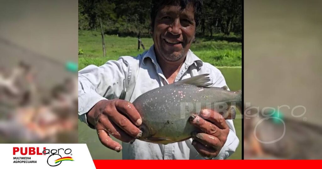 FOTO NOTAS WEB - 2026-10-11T090140.690 Pacú, sábalo, ganado y cítricos: así produce don Berto en Santa Fe de Amboró/ Foto: Gobierno Autónomo Municipal de Porongo