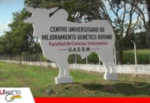 ApexGen inaugura su centro de mejoramiento genético bovino en Bolivia ApexGen incorpora tecnología para elevar la calidad genética del ganado bovino/ Foto: Publiagro