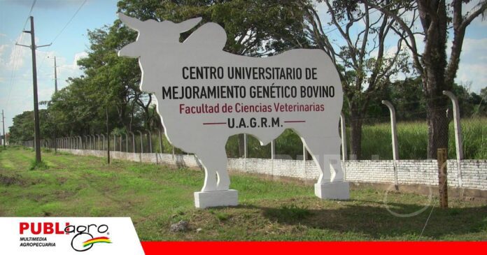 FOTO NOTAS WEB - 2026-10-11T090223.669 ApexGen incorpora tecnología para elevar la calidad genética del ganado bovino/ Foto: Publiagro