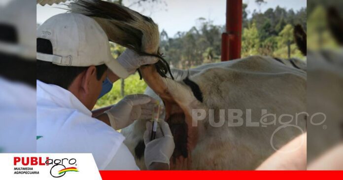 FOTO NOTAS WEB - 2026-10-12T211351.229 Innovación y tecnología también es clave para combatir la tuberculosis/ Foto: Internet