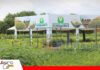 Agro Vidas 2026 proyecta más de 35.000 visitantes y 400 expositores Agro Vidas amplía su muestra agrícola/ Foto: Publiagro