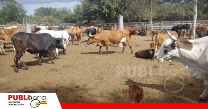 FOTO NOTAS WEB - 2026-10-14T063926.069 Justiniano, consideró que las amenazas de movilización van en contra de la productividad/ Foto: Eju