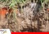 La microbiología del suelo, un aliado para mejorar la nutrición y productividad de los cultivos Microorganismos del suelo, aliados de la productividad agrícola/ Foto: Publiagro