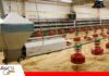El mantenimiento de galpones climatizados protege el rendimiento avícola Sensores y ventilación, fundamentales para el manejo de galpones climatizados/ Foto: Internet