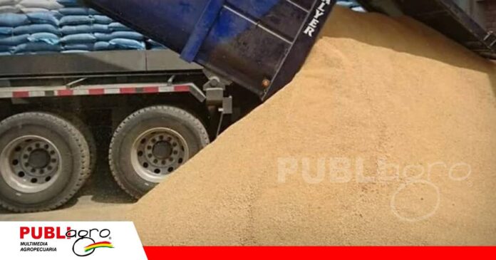 FOTO NOTAS WEB - 2026-10-14T191726.617 Transportadora exige recuperar 56 toneladas de soya desviadas/ Foto: Internet
