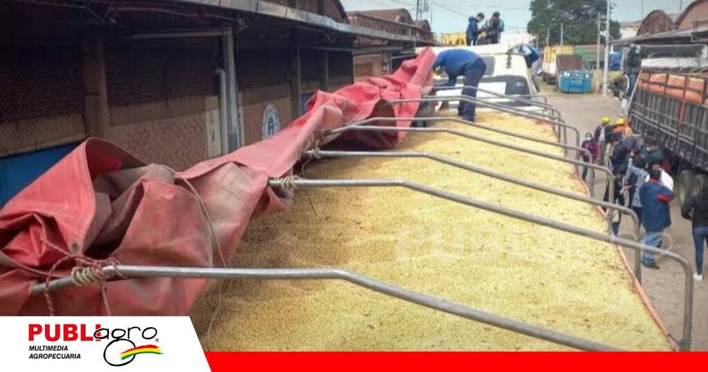 FOTO NOTAS WEB - 2026-10-14T191902.149 Soya valuada en $us 50.000 aparece en un garaje de Ventilla/Foto: Internet