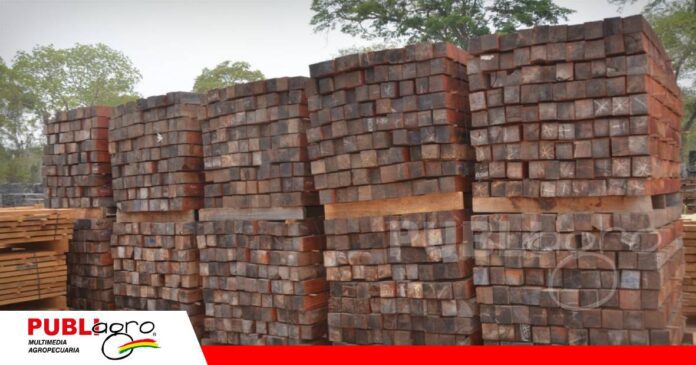 La madera boliviana pierde mercados y cae a mínimos históricos/ Foto: CFB