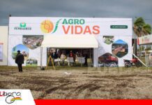 Semillas, cultivos y tecnología marcan la vitrina de Agro Vidas Agro Vidas reúne a 400 expositores y muestra el futuro del campo/ Foto: Publiagro