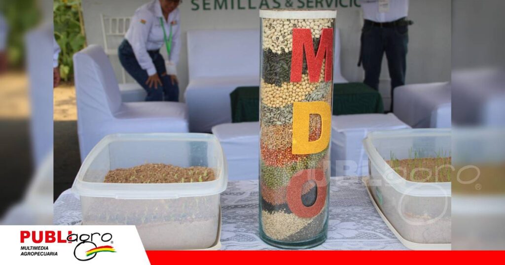 FOTO NOTAS WEB - 2026-10-15T220330.654 Variedades e híbridos en sus parcelas demostrativas/ Foto: Publiagro