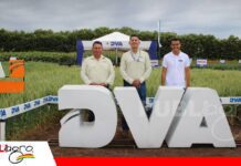 DVA presenta nuevas herramientas para la nutrición y el desarrollo vegetal DVA apuesta por mejores rendimientos con nutrición y bioestimulantes/ Foto: Publiagro