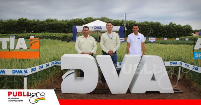 FOTO NOTAS WEB - 2026-10-15T220354.818 DVA apuesta por mejores rendimientos con nutrición y bioestimulantes/ Foto: Publiagro