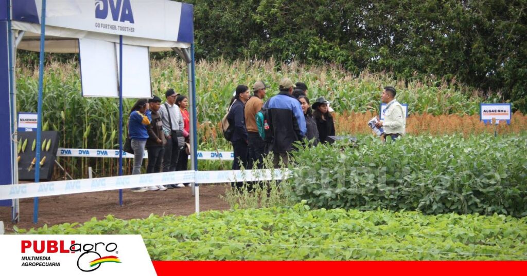 FOTO NOTAS WEB - 2026-10-15T220412.523 DVA lleva la bioestimulación del campo a las parcelas demostrativas/ Foto: Publiagro