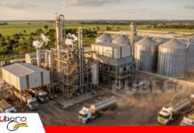 CANIOB: La industria oleaginosa da valor agregado al grano de soya y genera exportaciones por más de $US 1.000 millones al año