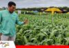 AGRO VIDAS 2026 conecta prácticas agrícolas internacionales con nuevas oportunidades para el campo y la pecuaria en Bolivia