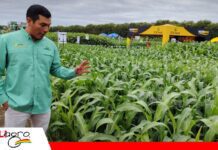 AGRO VIDAS 2026 conecta prácticas agrícolas internacionales con nuevas oportunidades para el campo y la pecuaria en Bolivia