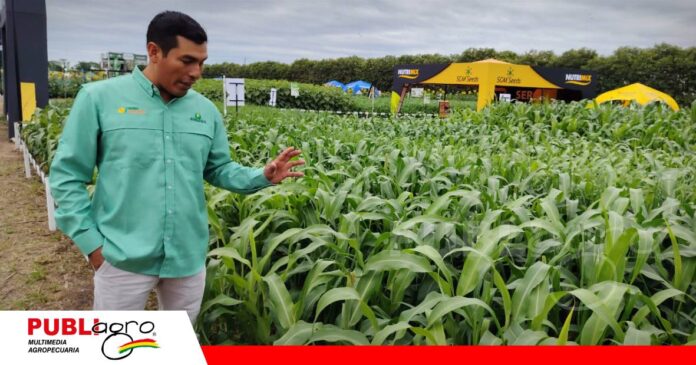 FOTO NOTAS WEB - 2026-10-16T153905.934