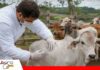 Alimenta 2026: Agromel acerca a expertos de Virbac Uruguay para abordar la prevención de la clostridiosis bovina