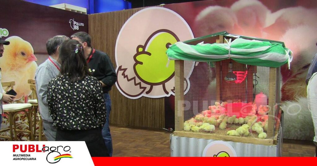 La empresa aprovechó el encuentro para exhibir pollitos BB/ Foto: Publiagro