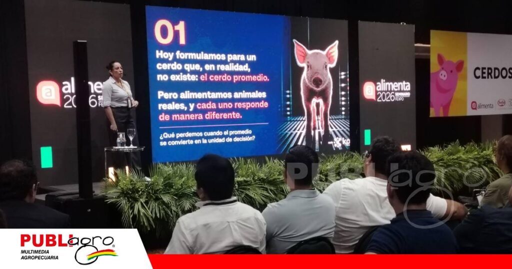 FOTO NOTAS WEB - 2026-10-24T113639.126