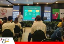 Integración agrícola-ganadera: las pasturas como aliadas para recuperar suelos y mejorar la rentabilidad