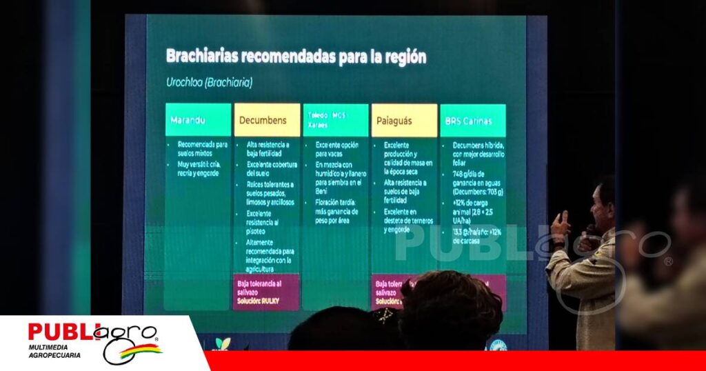 FOTO NOTAS WEB - 2026-10-26T111127.379