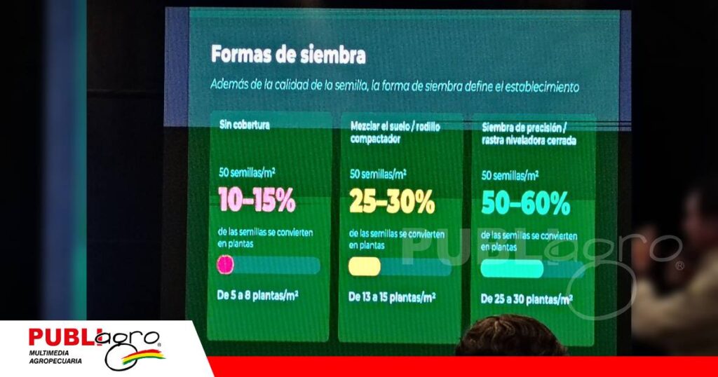 FOTO NOTAS WEB - 2026-10-26T111156.116 Para Silvio dos Santos la forma de siembra define el establecimiento.Fotografía de diapositivas presentadas por el expositor / Foto: Publiagro